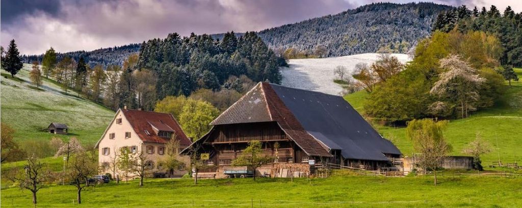 Das Bild zeigt ein markantes Beispiel für regionale Baukultur, wie einen historischen Schwarzwaldhof, ein modernes Architekturprojekt oder eine touristische Sehenswürdigkeit in Freiburg. Es visualisiert die Verbindung von Architektur, Landschaft und Tourismus und unterstreicht, wie Baukultur die Identität und Attraktivität einer Region prägt. - Baukultur und Tourismus: Historischer Schwarzwaldhof als touristisches Highlight