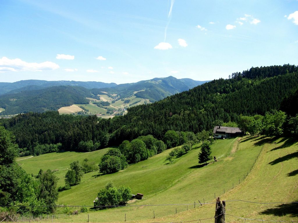 Grüne Landschaft im Schwarzwald